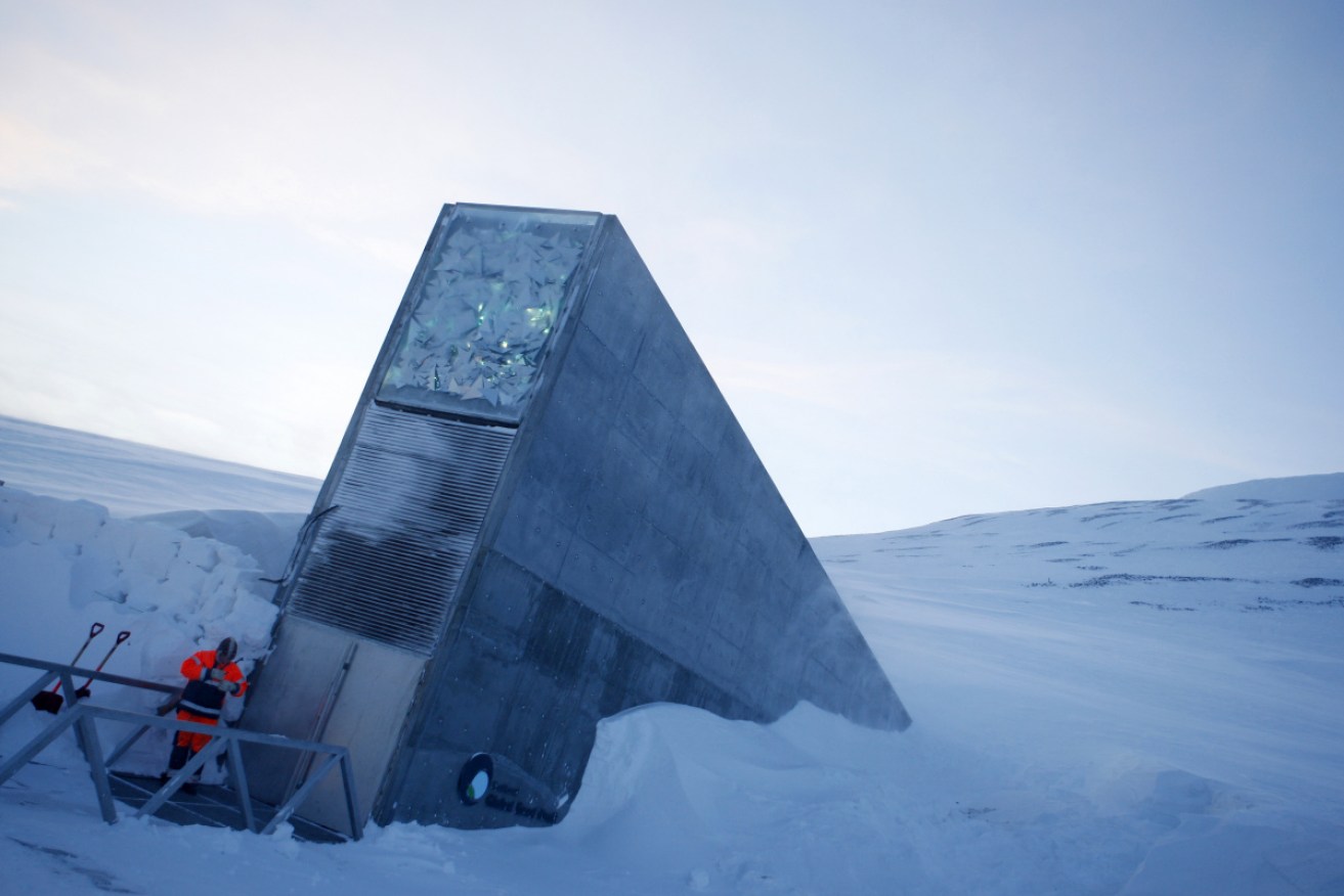 The Svalbard global seed vault in Norway is to receive deposits from a range of countries on Monday. 