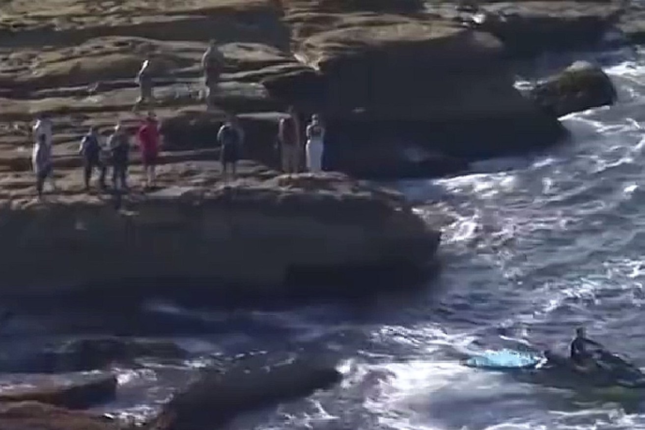 A swimmer has been killed by a shark at an eastern Sydney beach, NSW Police have confirmed.