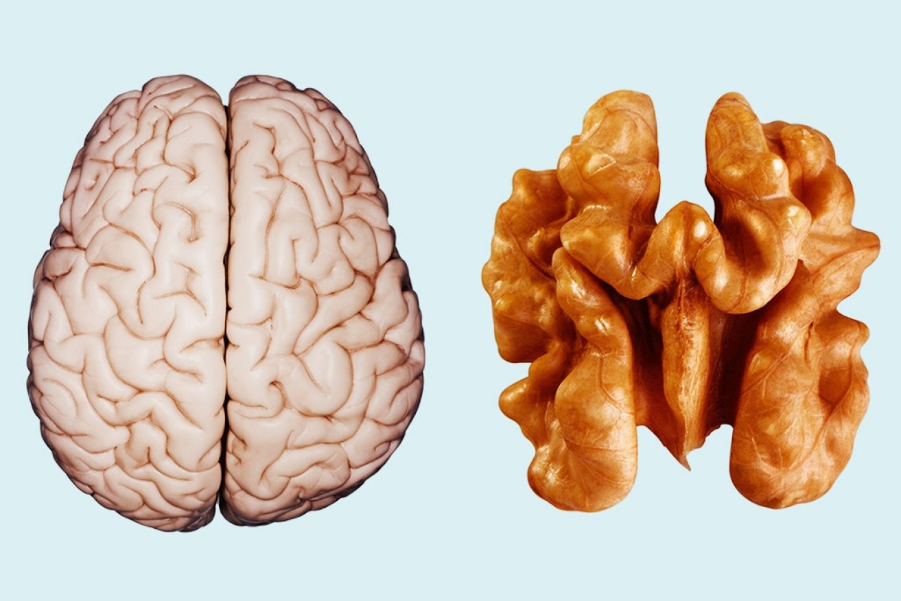 Strangely, walnuts doesn't just look like your brain, they're good for it.