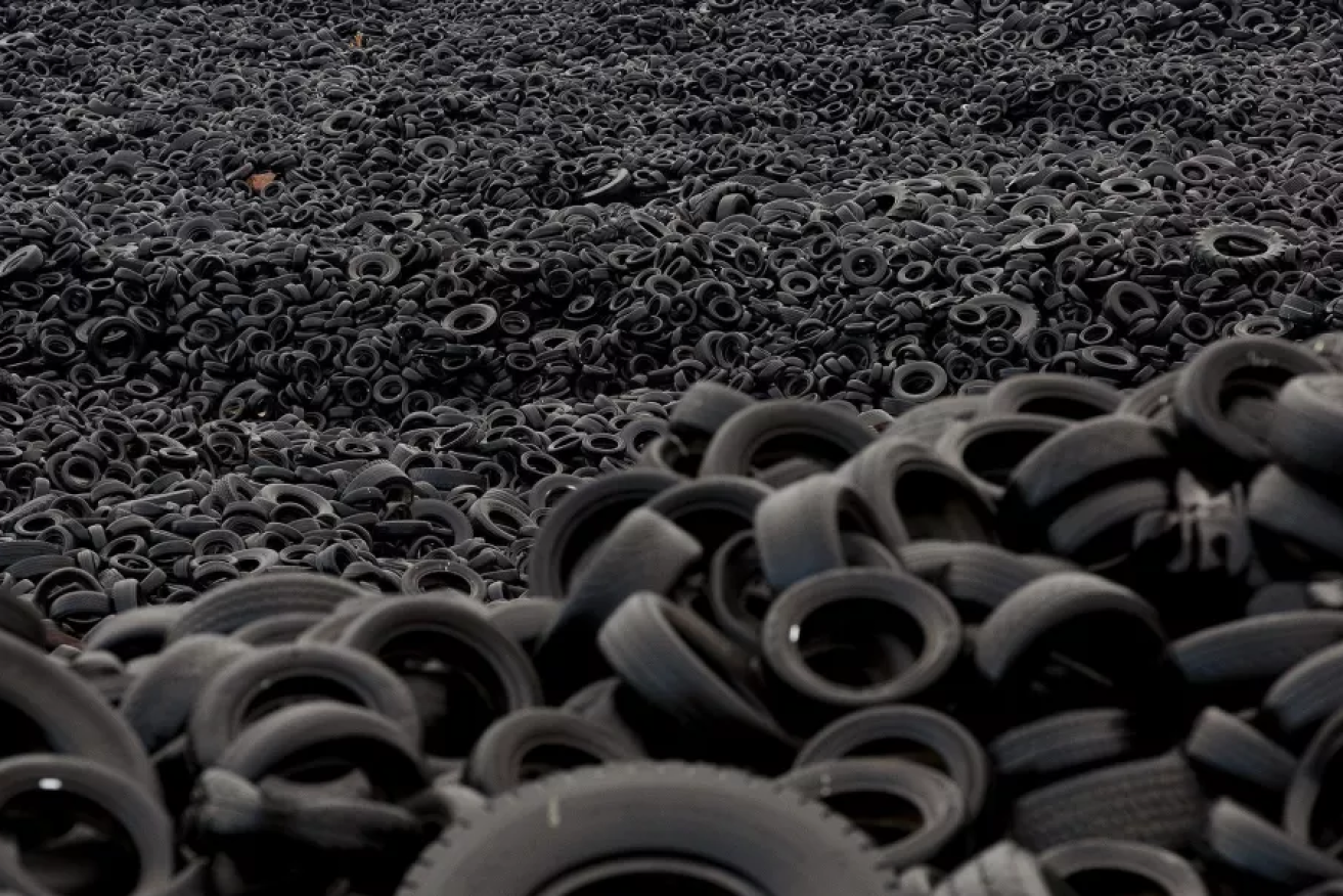 Tyre rubber contains a toxic mix of 2500 chemicals including 6PPD, which can kill some fish species.