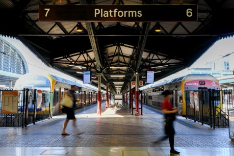 Urgent service blitz could fix Sydney&#8217;s late train woes