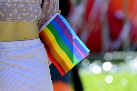 &#8216;Hub of bigots&#8217;: Protest over council gay book ban