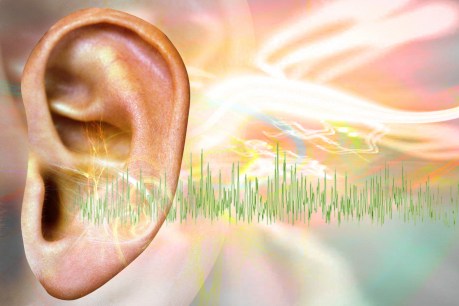 Supermarket painkillers linked to tinnitus risk