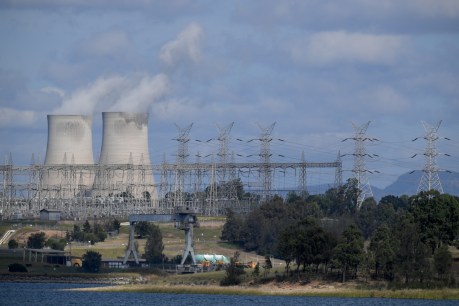 Takeover target AGL warns on rapid coal exit