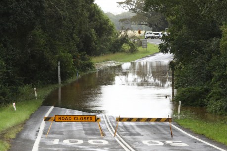 Flood alert for northern NSW as thunderstorms close in
