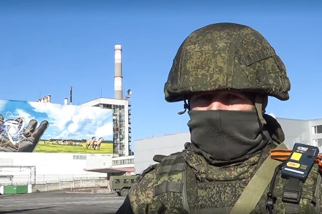 Russian capture of Chernobyl nuclear plant threatens research on radioactivity and wildlife