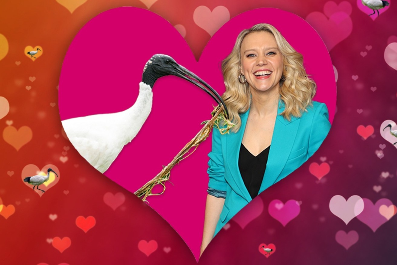 Kate McKinnon spent some time in Australia to film Stan series <i>Joe vs Carole</i>.