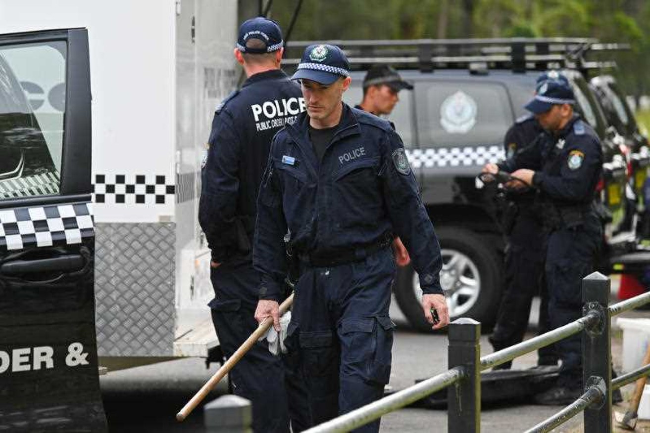 Police have arrested two men have been arrested over the murder of underworld figure Mejid Hamzy.