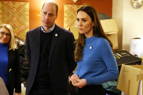 Prince William’s ‘ignorant’ Ukraine remark slammed