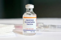 Japanese encephalitis and jabs: All you need to know