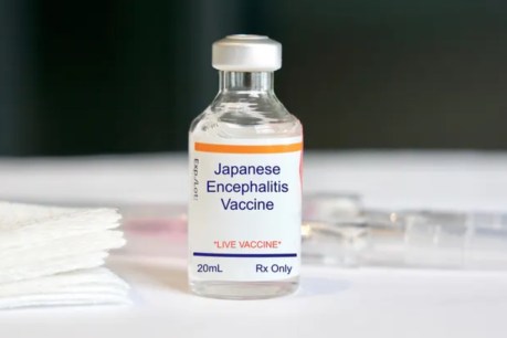 What you need to know about Japanese encephalitis and its vaccines