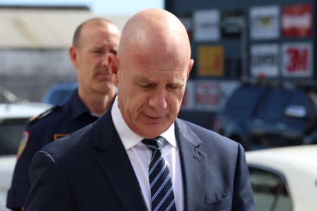 Tasmanian Premier reveals childhood assault