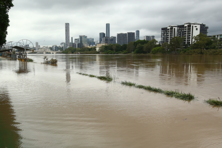 ‘Disaster tourists’ ordered to stay off Brisbane River