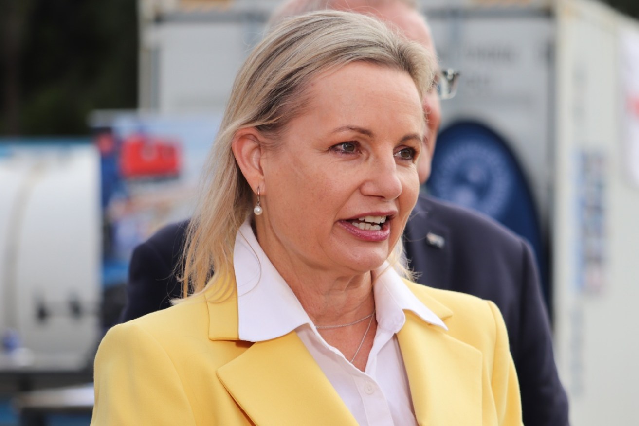 Sussan Ley says the Liberal Party should keep its target of 50pct female representation by 2025.