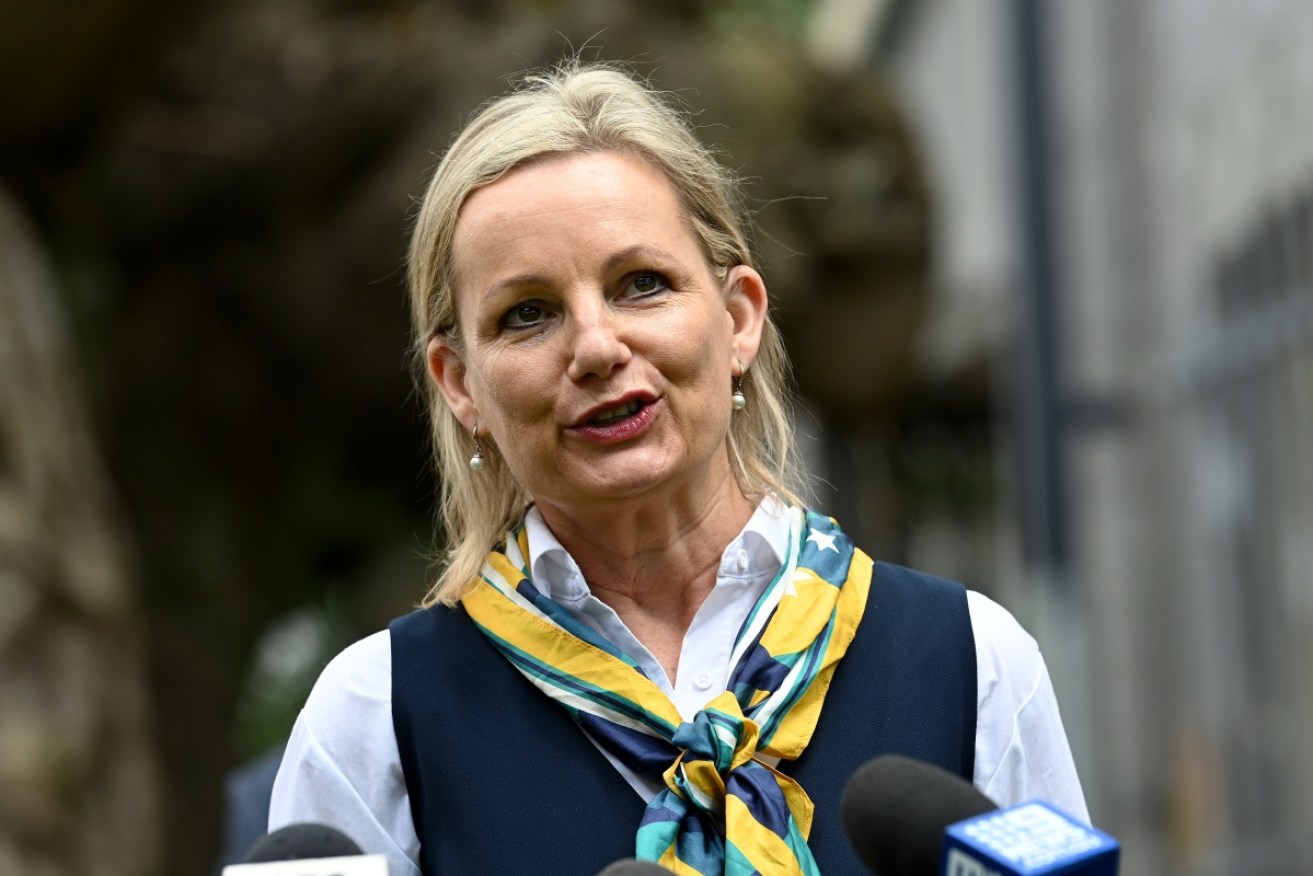 Three Federal Court judges ruled in favour of Sussan Ley in a case students took against her.