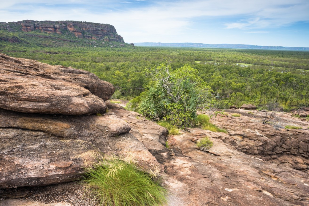 Federal agency Parks Australia is accused of illegally disturbing an NT Aboriginal sacred site.