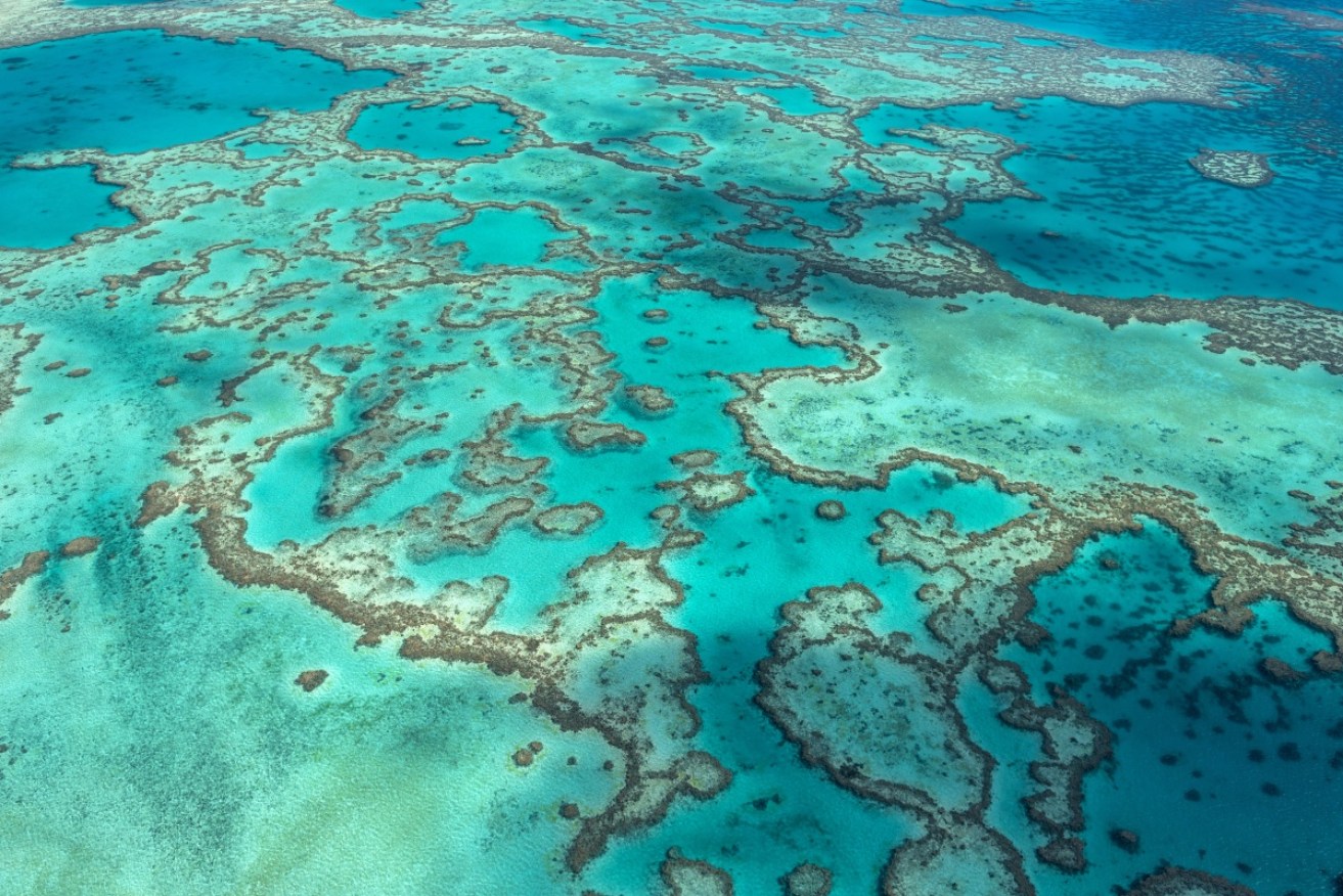 The Great Barrier Reef attracts millions of tourists every year.