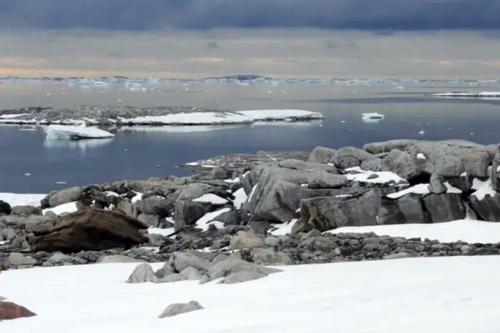 What’s driving heatwaves in Antarctica and Arctic