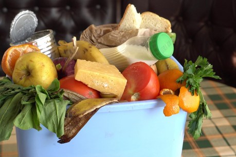 How to save a fortune by not wasting food 