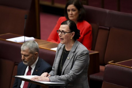 Coalition senator blasts Liberal Party’s ‘mean girls’