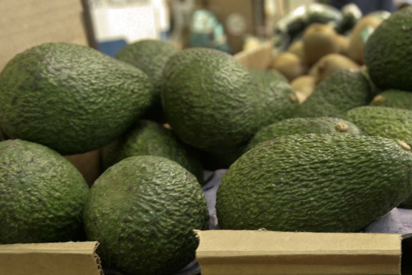 The price of avocados has fluctuated heavily in 2023. Photo: AP