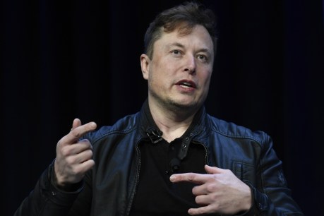 Elon Musk revealed as likely top shareholder in Twitter
