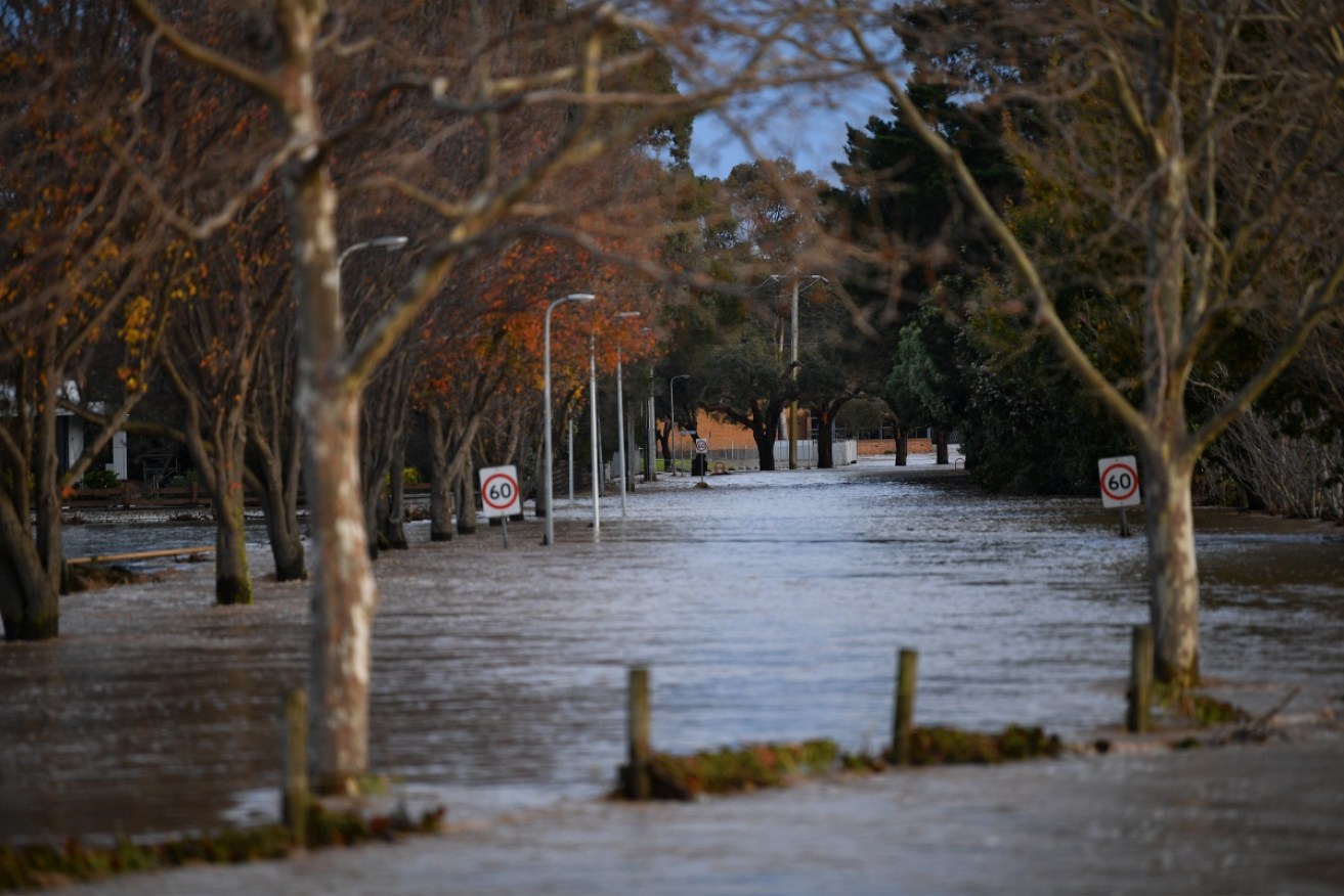 A driver in his 60s is missing after his vehicle became submerged in a river in Victoria's east.