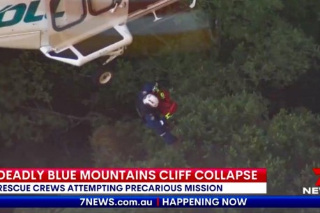 Bodies in Blue Mountains tragedy recovered