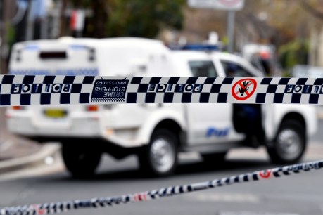 Three dead in horror NSW single-vehicle smash