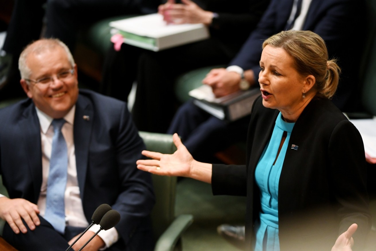 Sussan Ley says 'factional games' had interfered with normal preselection processes in her seat.