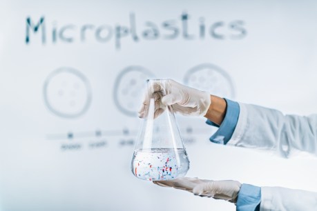 Microplastics found in lungs of living people