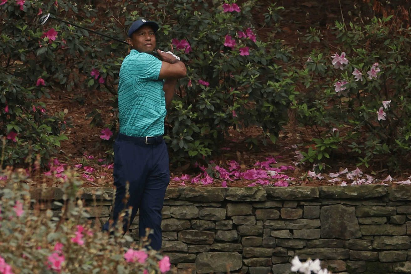 Tiger Woods focuses on the 13th hole, which he birdied after the two previous holes' bogeys.<i>Photo: Getty</i>