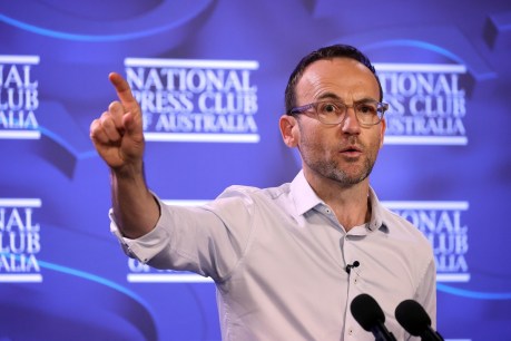 Greens play hand on climate change bill