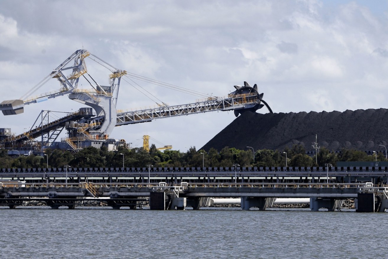 School Strike for Climate plans to block ships from using the Hunter Valley port on Sunday.