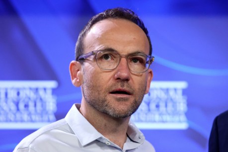 Greens say tycoon tax to end offshore gas ‘rip-off’