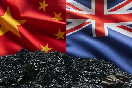 First coal shipment to China stokes trade optimism