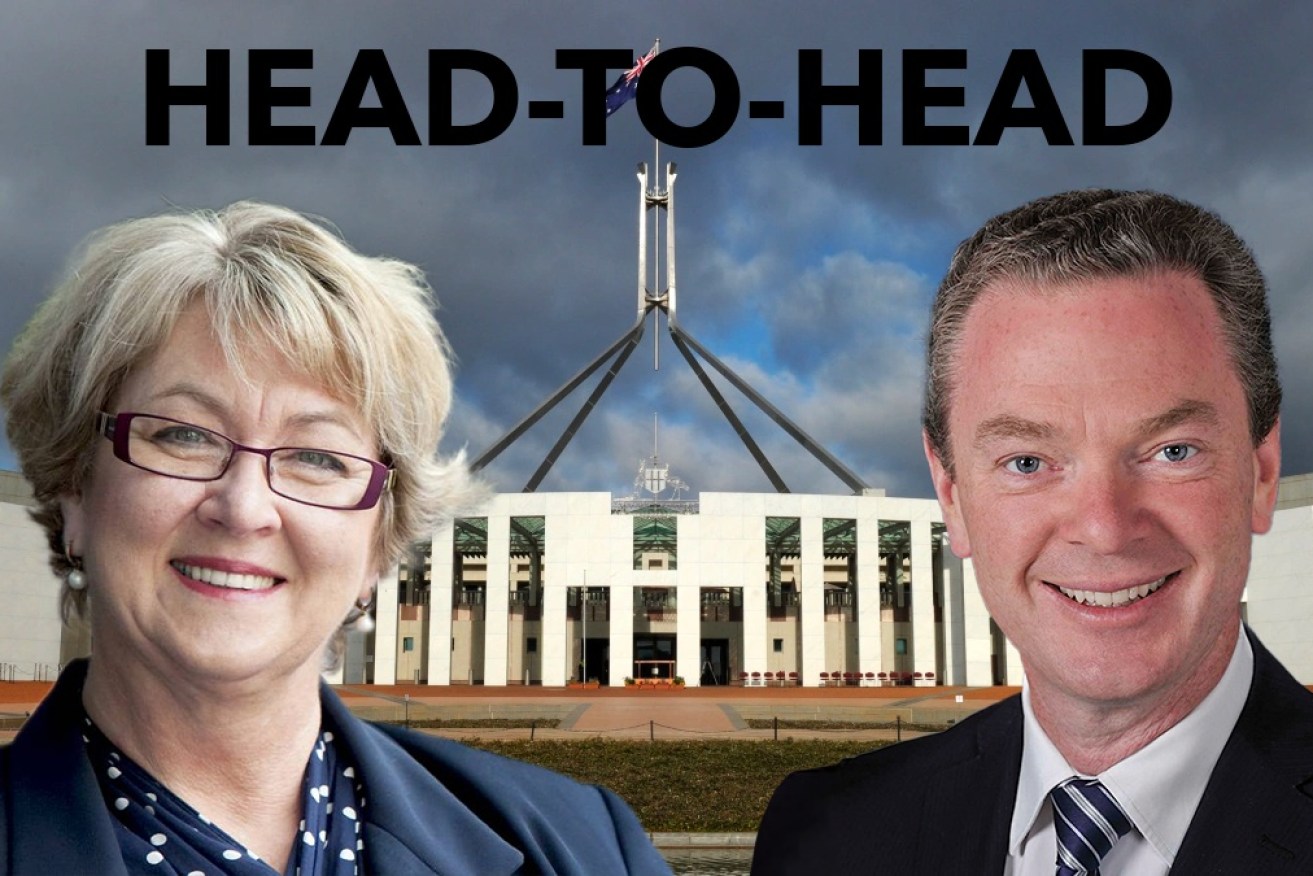 Cheryl Kernot and Christopher Pyne offer their take on the second week of the federal election campaign.