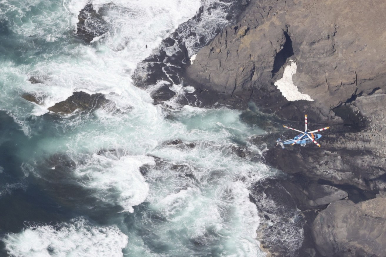 The boat went missing several hours after departing for a tour off northern Japan.