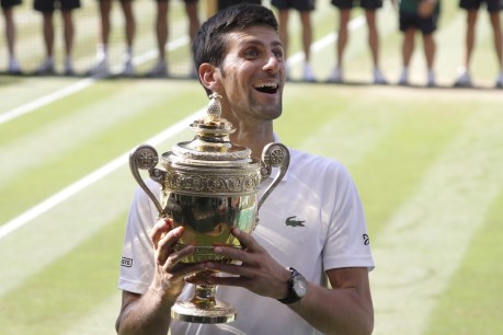 Djokovic can take the court at Wimbledon