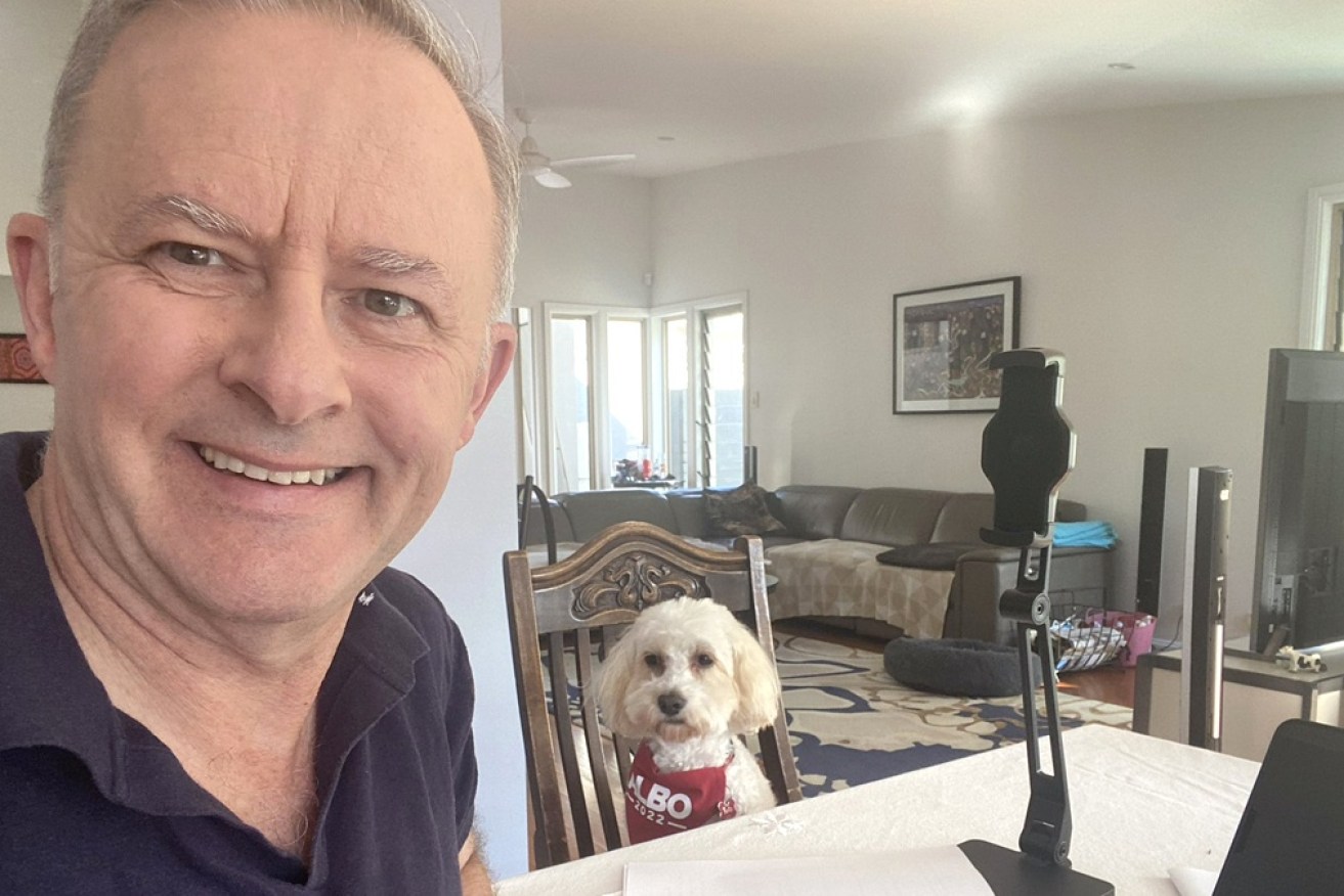Federal Opposition Leader Anthony Albanese's home isolation is set to end.