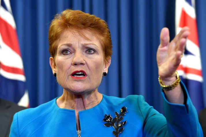 Pauline Hanson appeals defamation loss