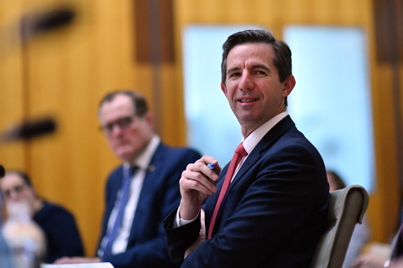 Finance Minister Simon Birmingham described ICAC as a Star Chamber designed to grab headlines.