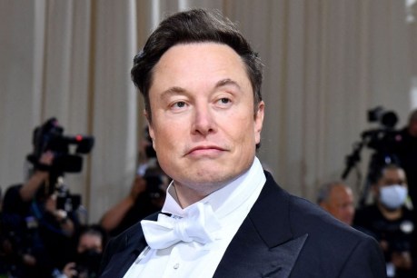 Musk reveals Twitter plans on Met Gala red carpet