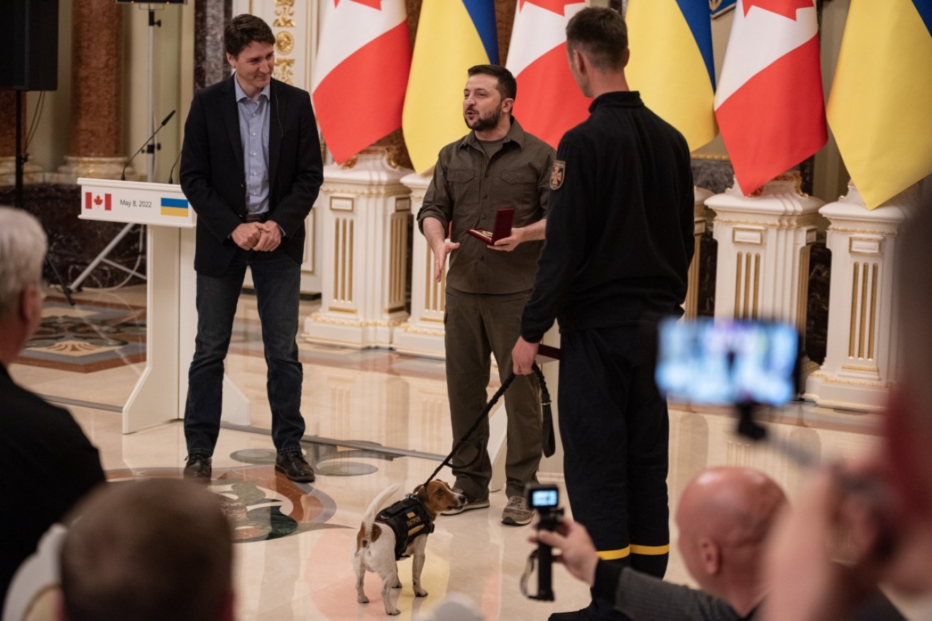 Pint-sized Patron at Sunday's ceremony, with his handler, Justin Trudeau and Vlodomyr Zelensky.