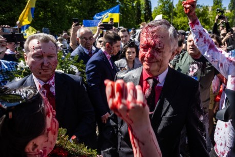Ambassador doused in red paint, in angry display