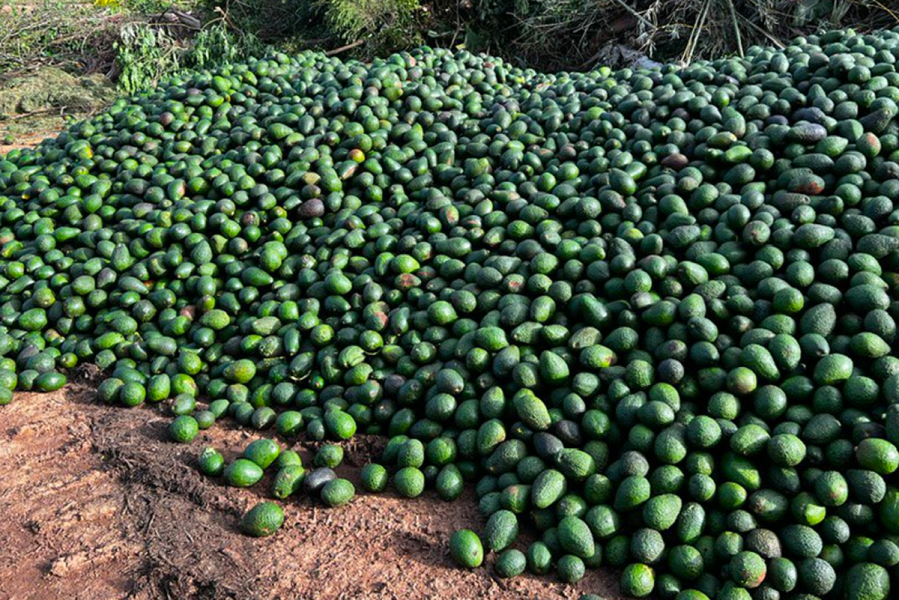 The dumping of "truckloads" of avocados in Atherton, Queensland, has sparked outrage online.