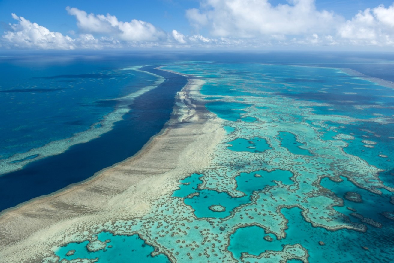 Scientists have identified a new threat to the Great Barrier Reef.