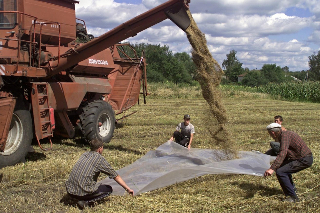 Russia's blockage of Ukrainian ports has stopped the export of vast quantities of grain.