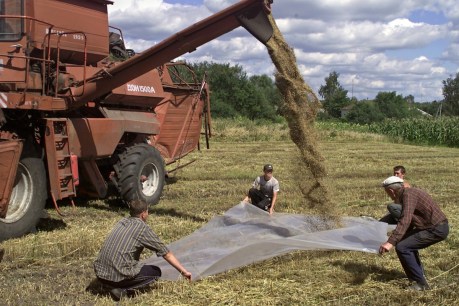 EU moves to help Ukraine export grain