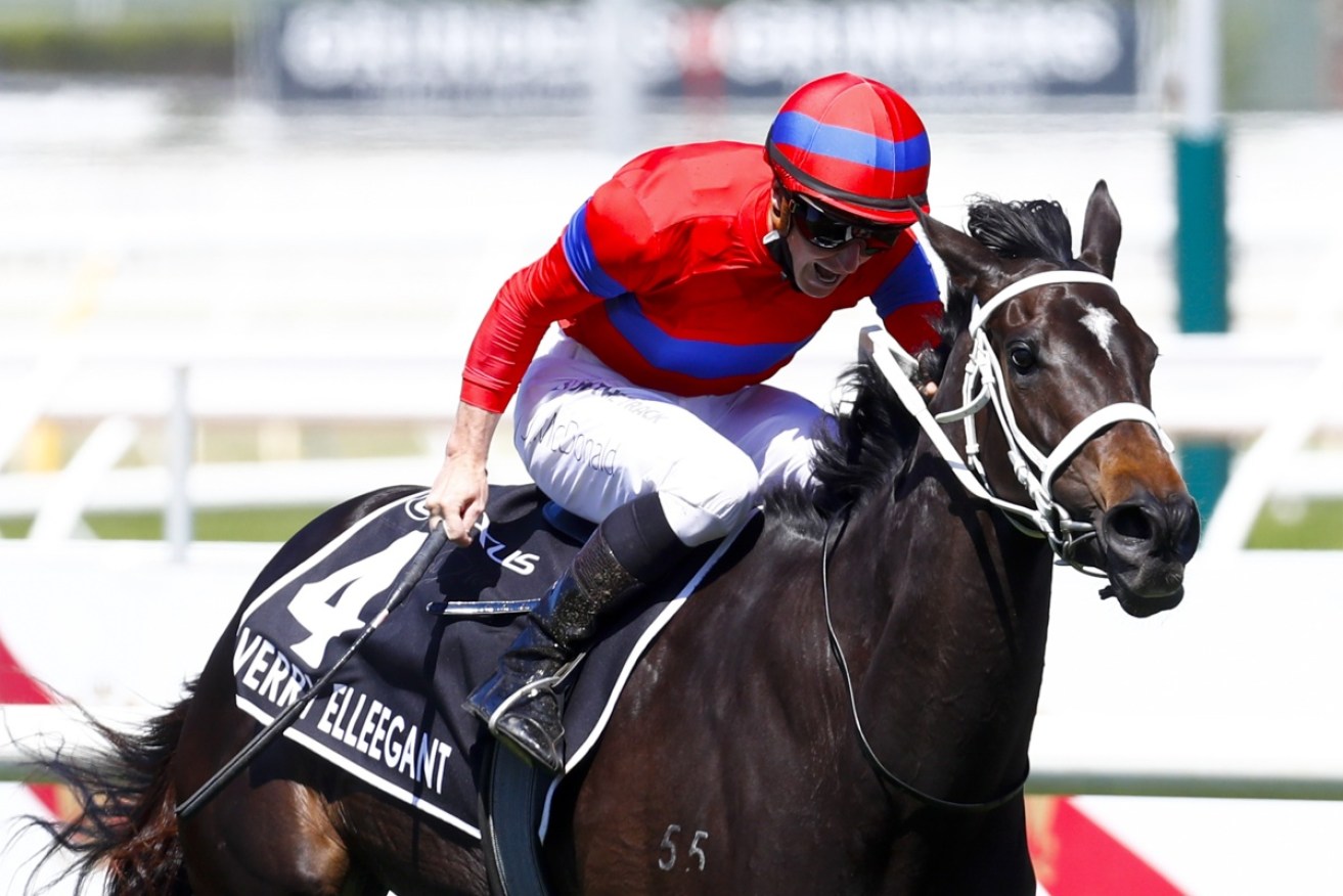 Melbourne Cup winner Verry Elleegant will now have a few more weeks to get used to racing in France. <i>Photo: AAP</i>